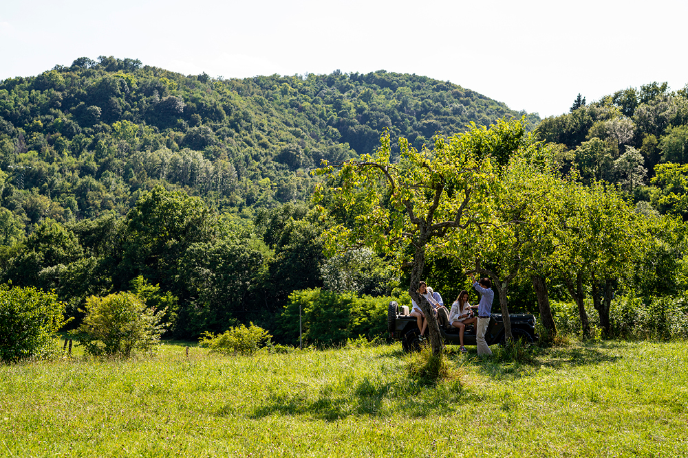 Negozio aziendale Borgoluce - foto 3