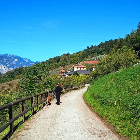 Agritur Maso Toldin Ciro foto 4
