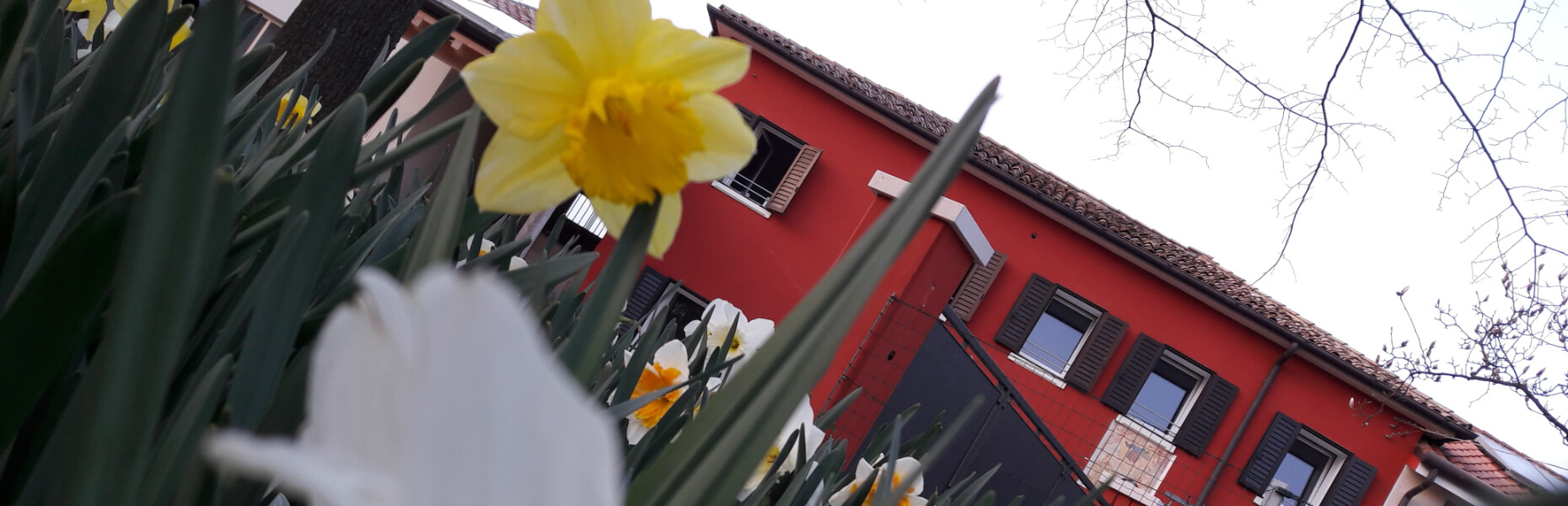 B&B Alla Bon'ora - foto 2