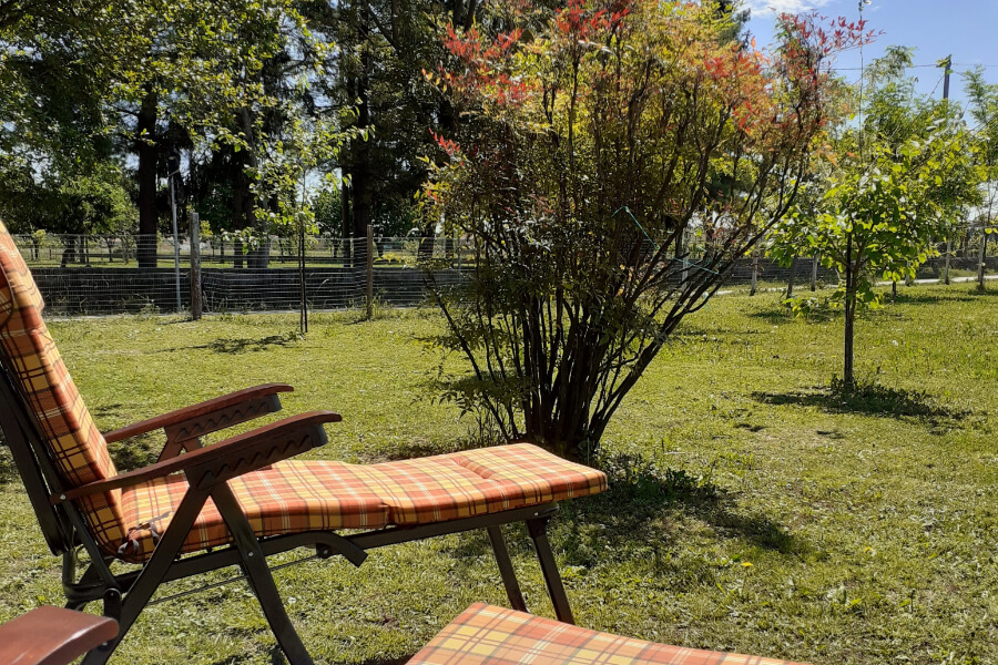 B&B Alla Bon'ora - foto 4