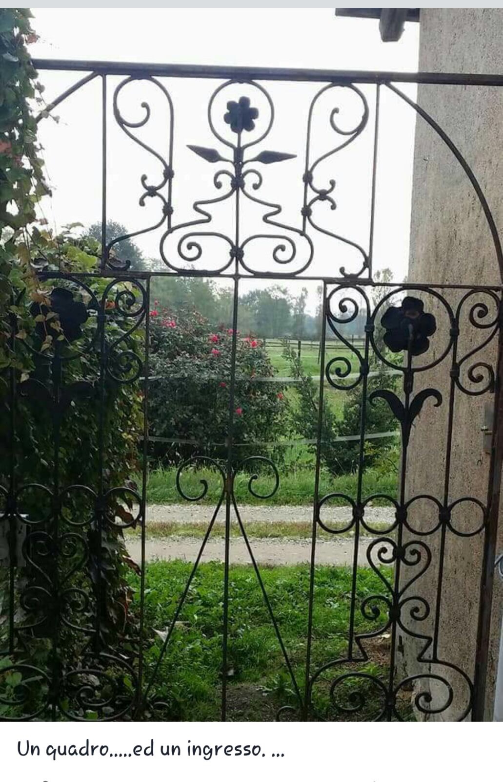 Agriturismo Cascina Moretta - foto 3