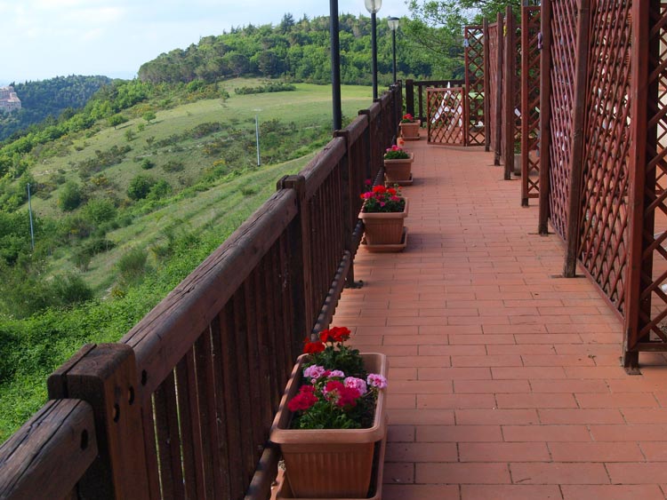 Agriturismo La Becerca (Vegan B&B) - foto 3