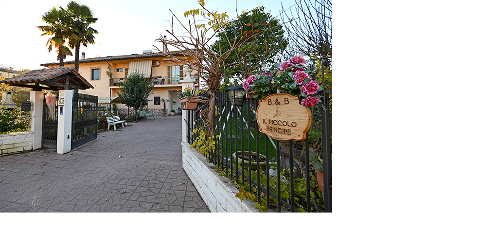 Il Piccolo Principe - foto 2