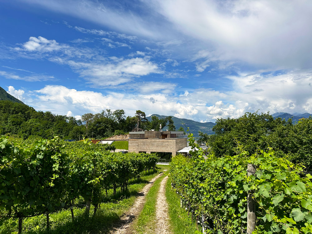 Agriturismo Margone Trento - foto 3