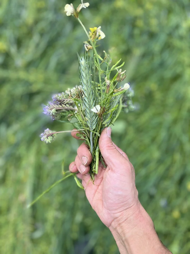 Azienda Agricola "L' Orto che fa la differenza"s.s - foto 1