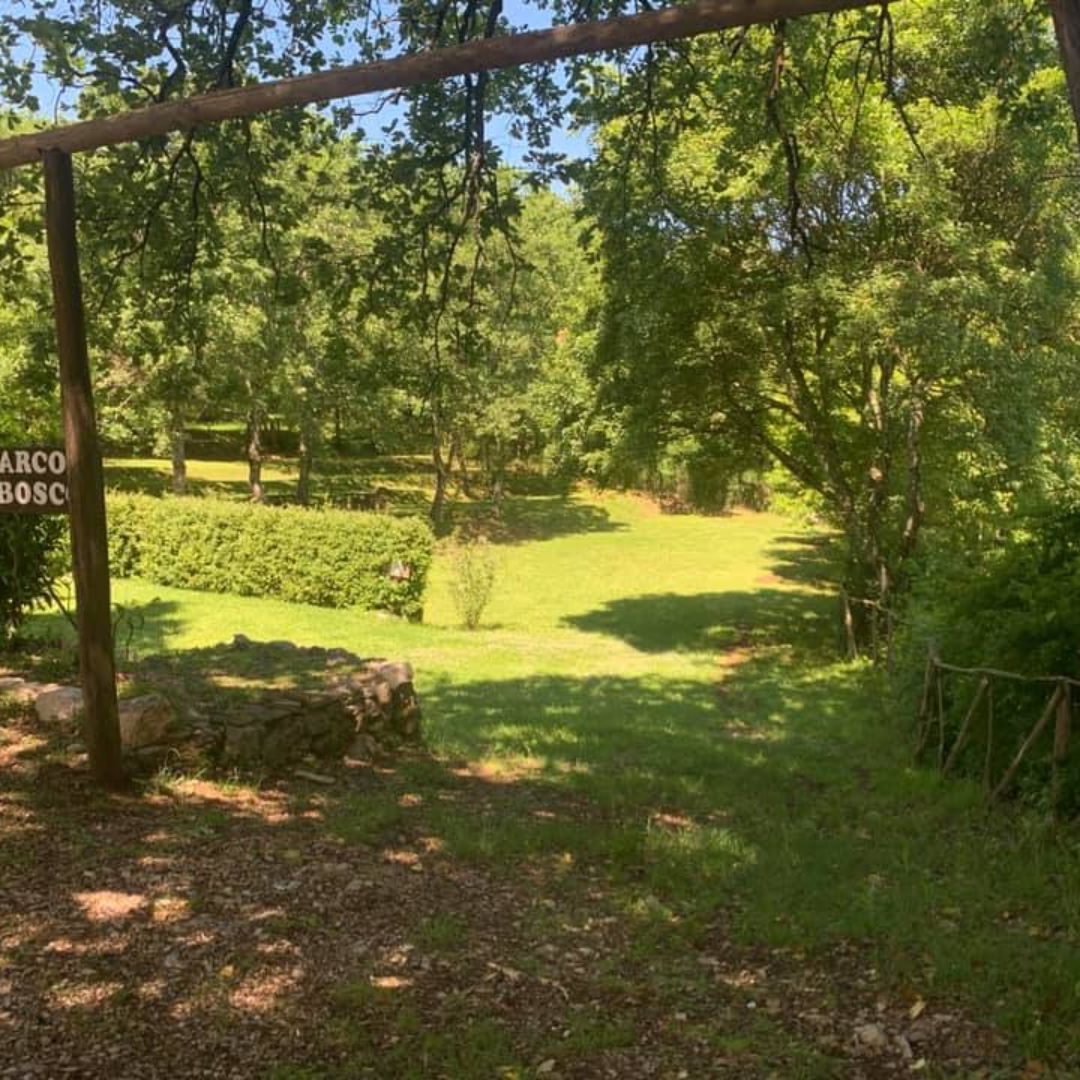 Agriturismo il bosco - foto 4