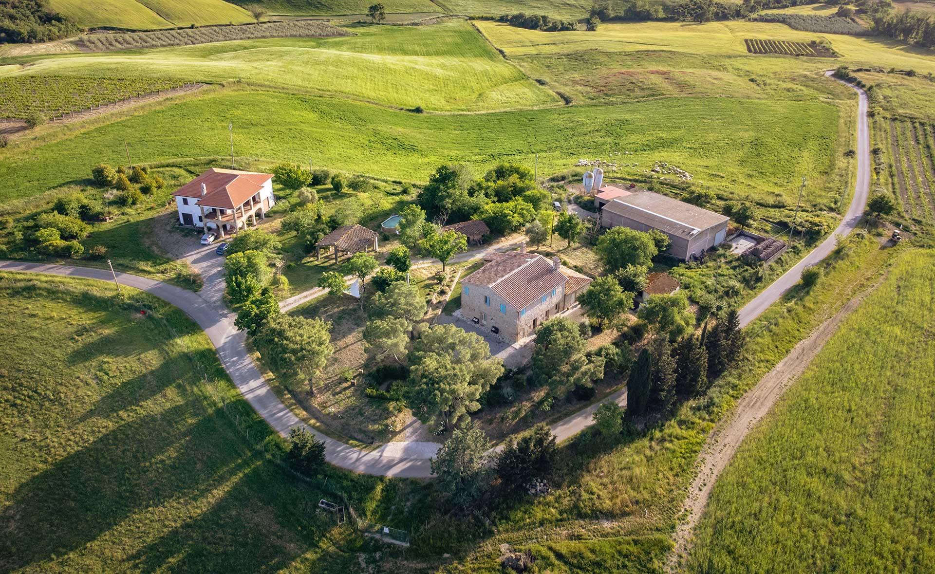 Podere Stabbiatelli, Azienda Agricola e Agriturismo - foto 3