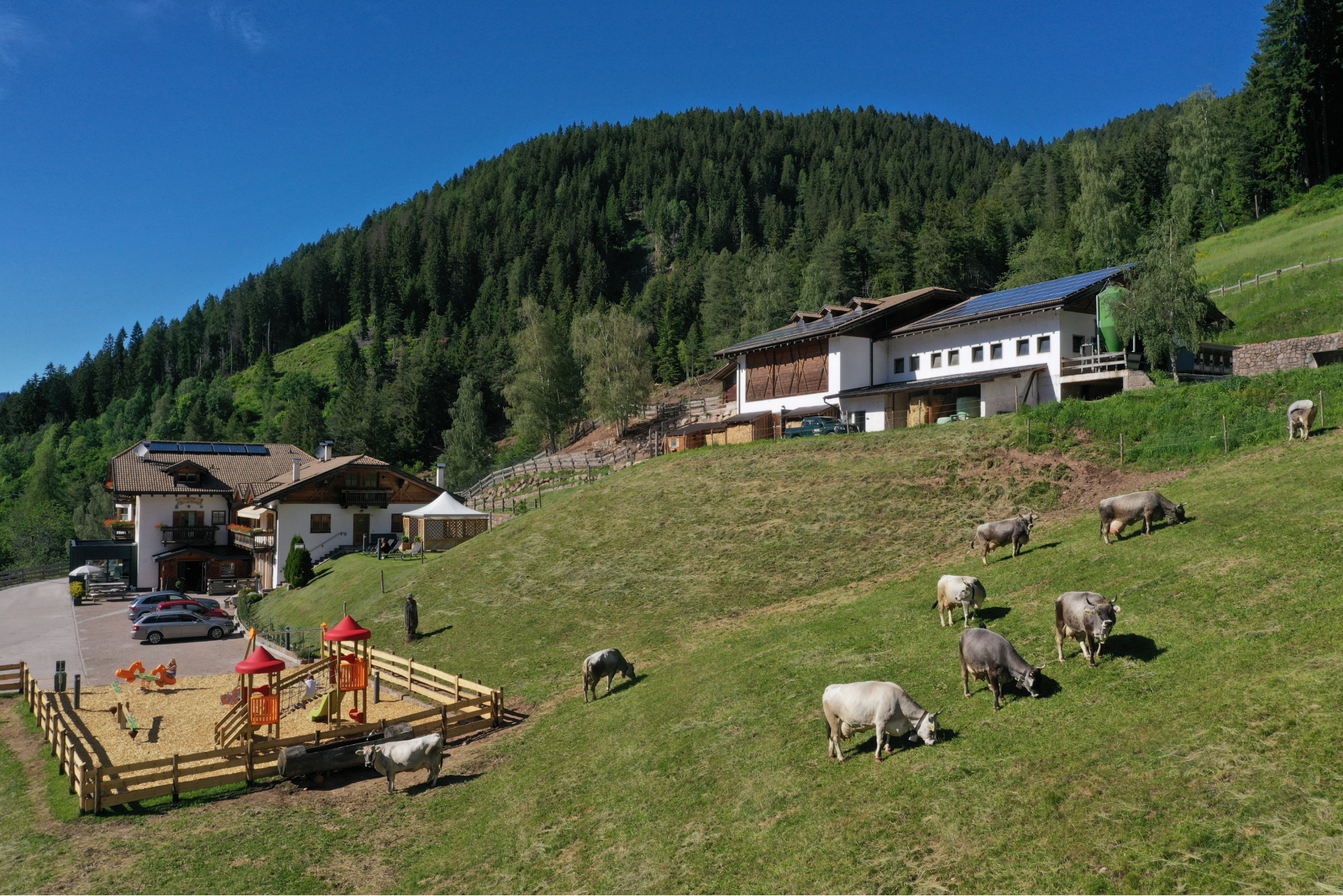 Agritur Maso Fior Di Bosco - VALFLORIANA - TRENTINO - foto 1