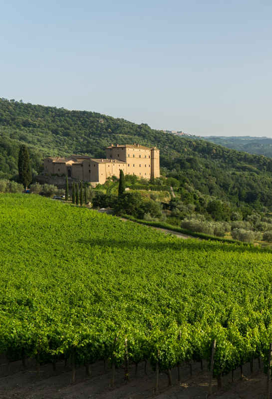 Castello Di Potentino - foto 1