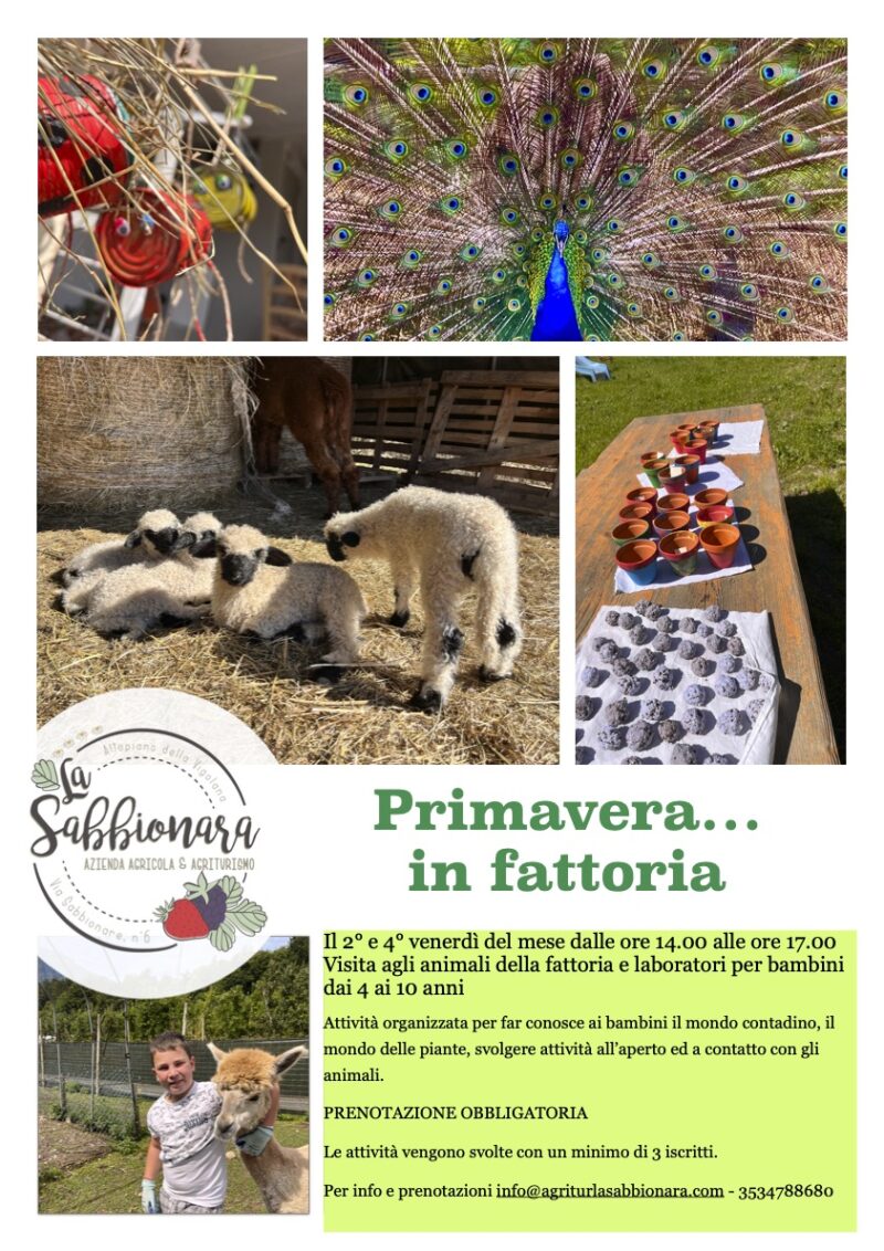 Agritur La Sabbionara - foto 5