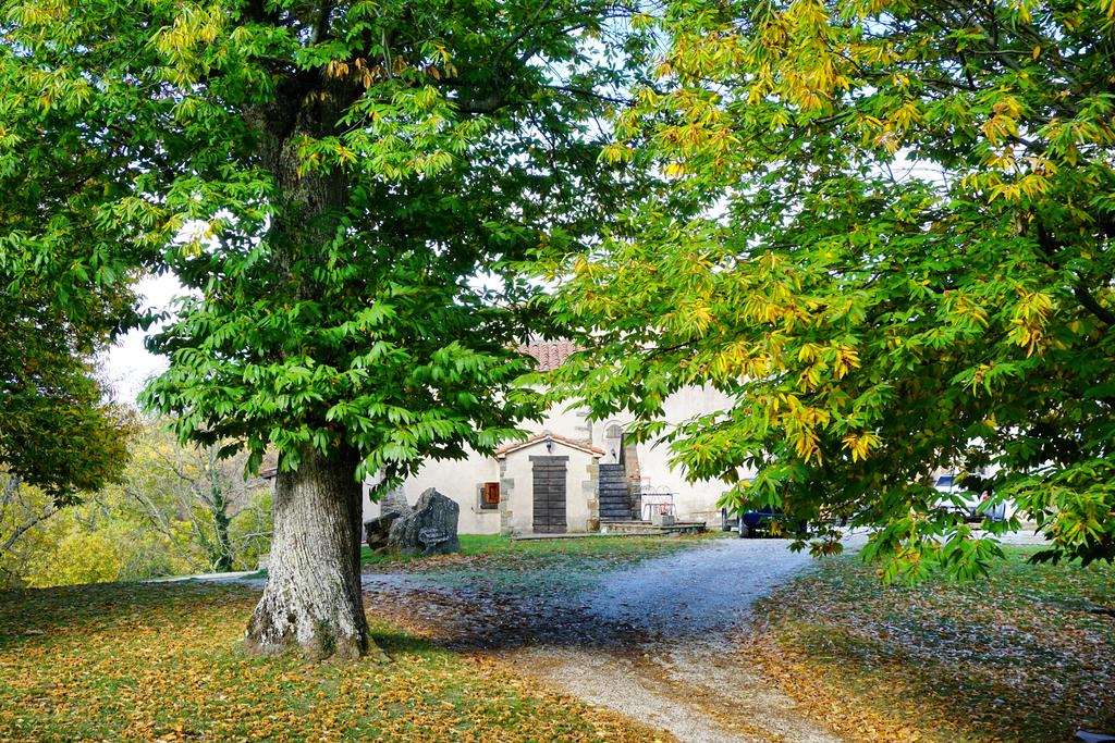 Agriturismo Bio I Rondinelli - foto 6