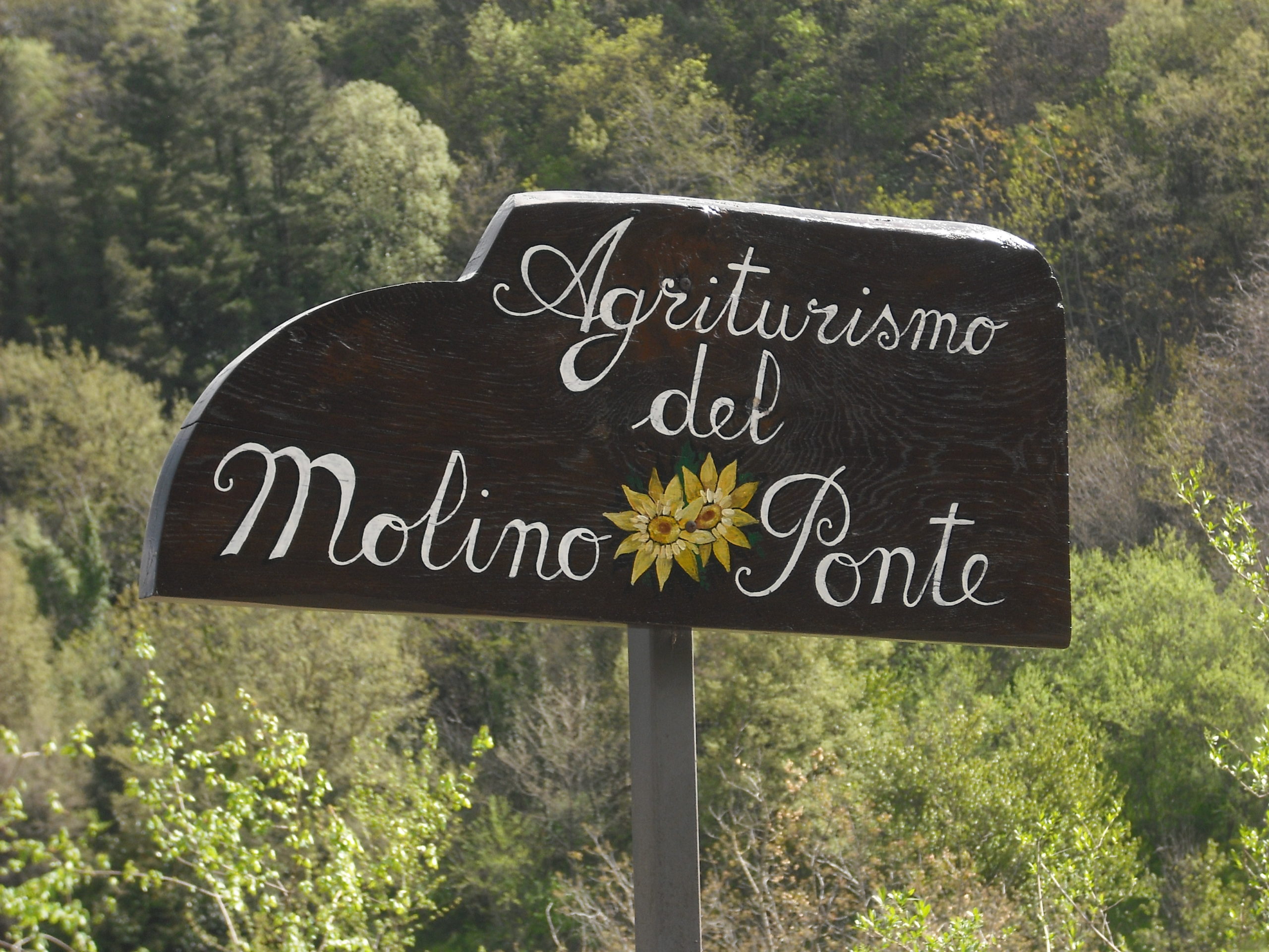 Agriturismo Molino del Ponte - foto 3