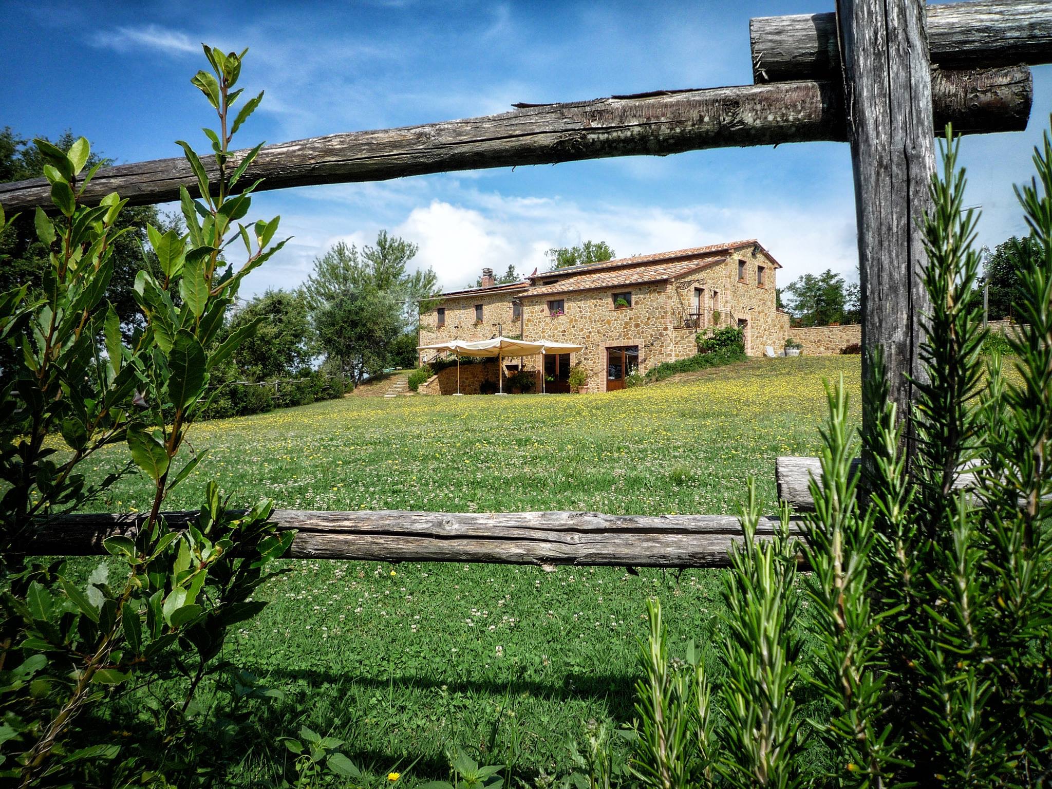 Agriturismo Il Selvatico - foto 1