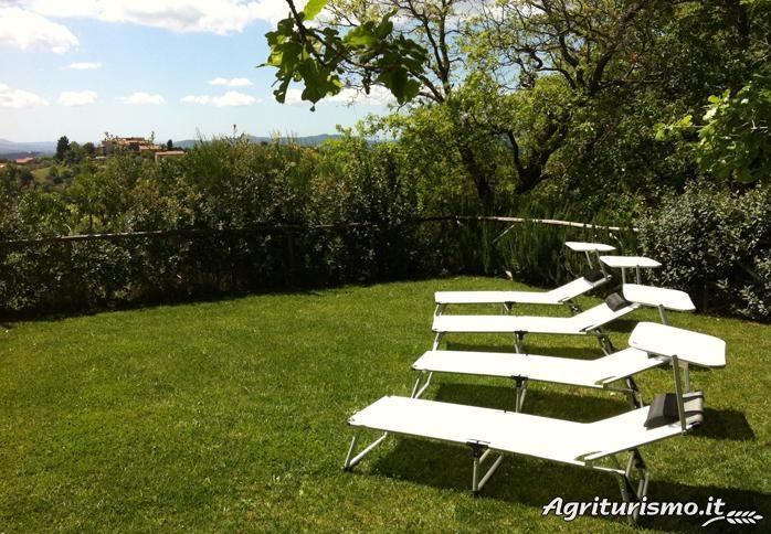 Agriturismo Il Selvatico - foto 4