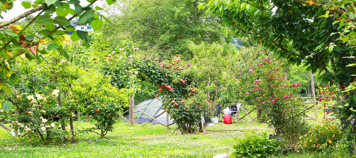 Oasi del Belvivere Camping Cinque Terre only tents - foto 5