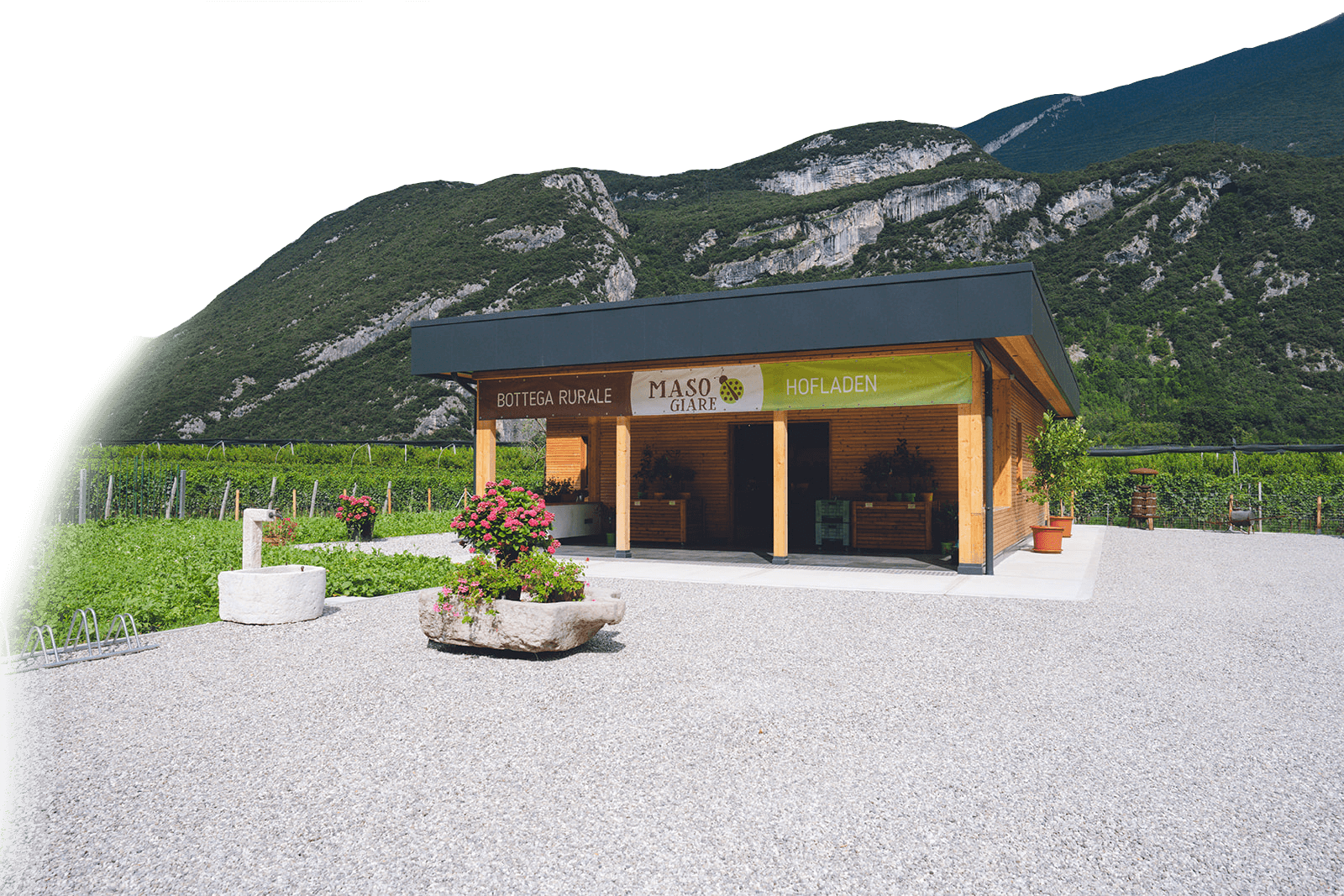 Maso Giare - Azienda Agricola Biologica - foto 1