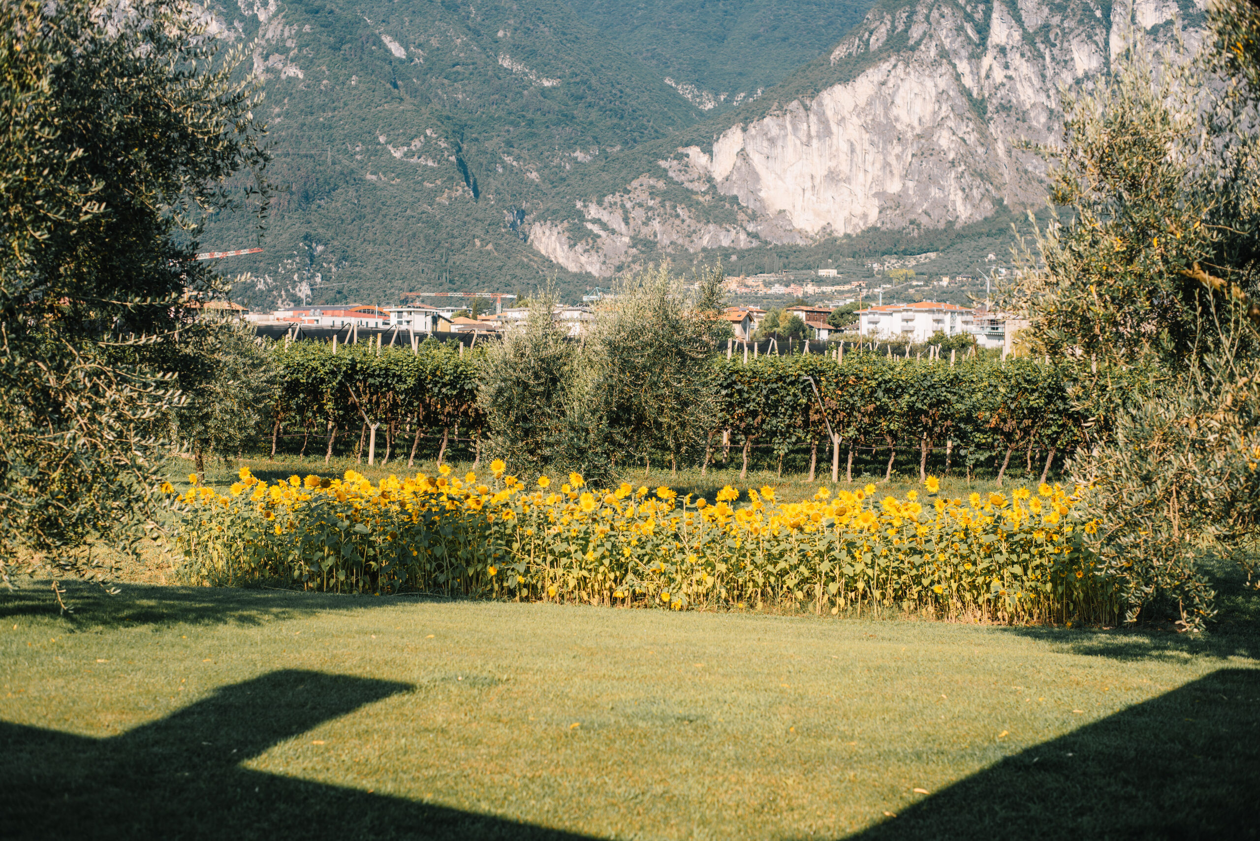 Agritur La Cort - foto 6