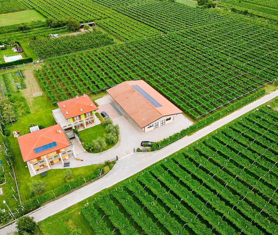 Agritur Giovanazzi - foto 4