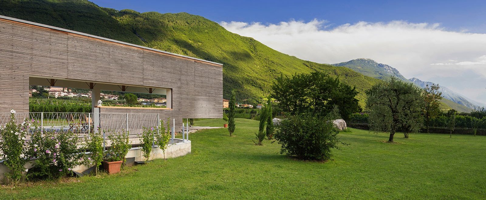 Agriturismo La Terra - foto 5