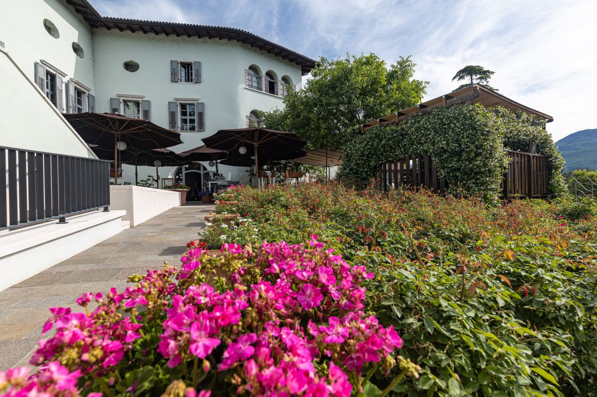 Casa Del Vino della Vallagarina - foto 2