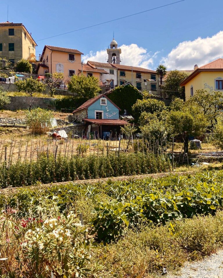 Agriturismo e Reixe - foto 6