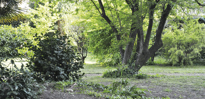 Invilla Bnb - foto 5