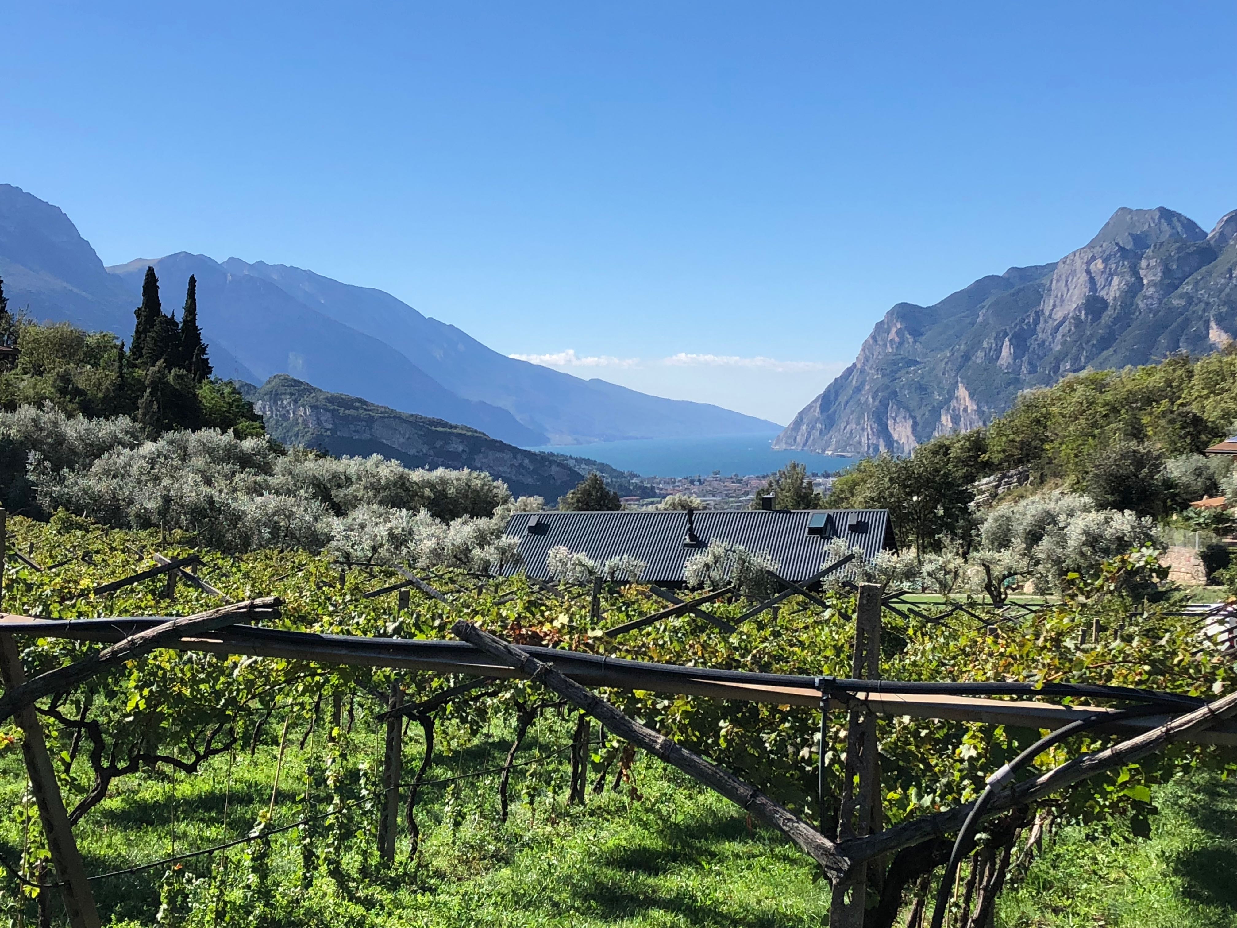 Da La Babi - Bed And Breakfast - foto 4