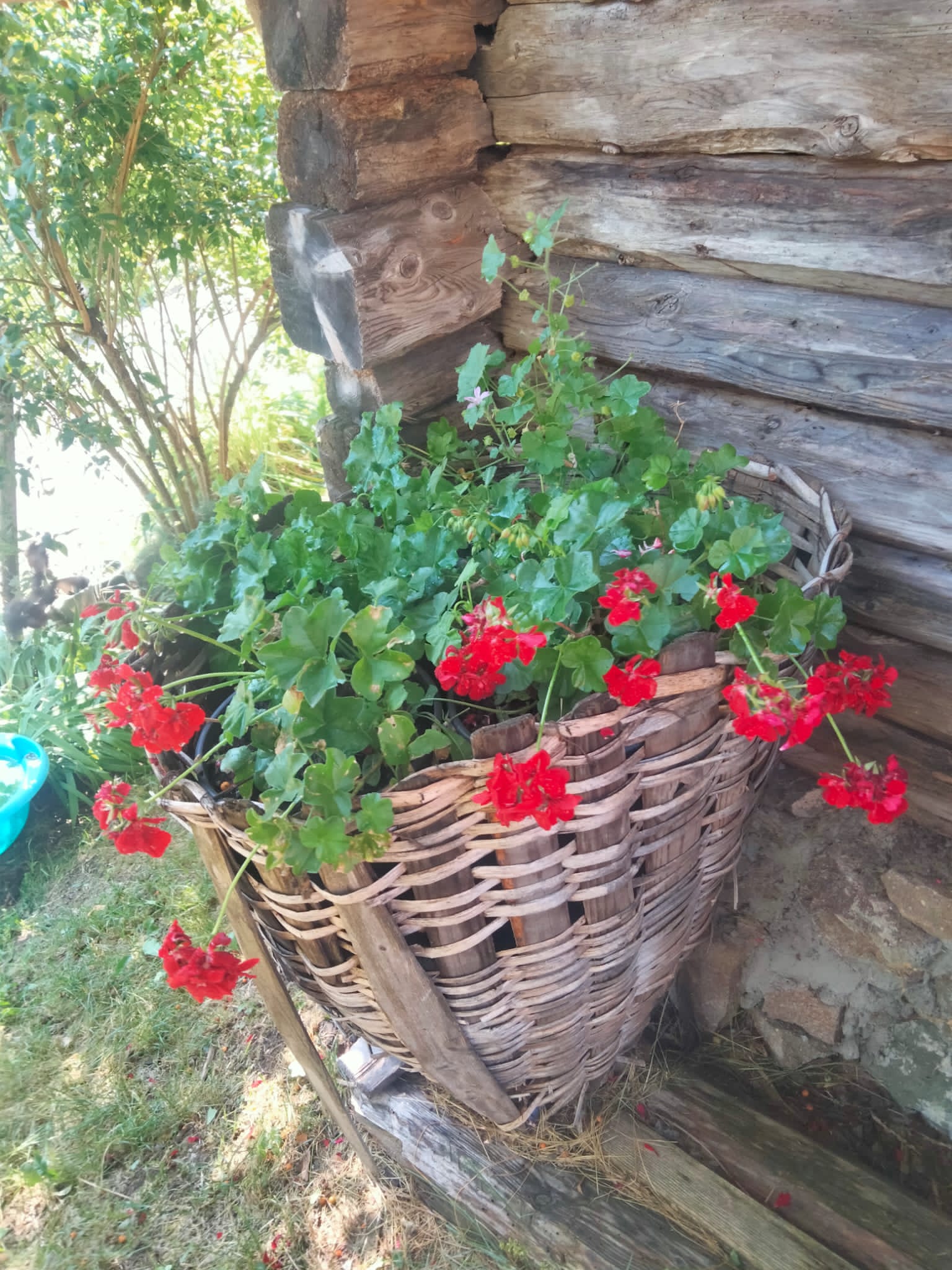 Agritur La Gemma - foto 5