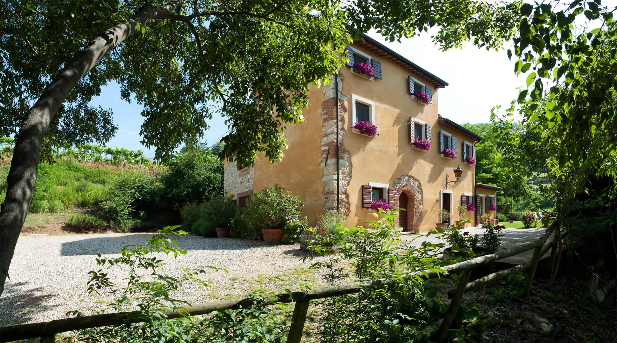 b&b agriturismolibero - foto 5