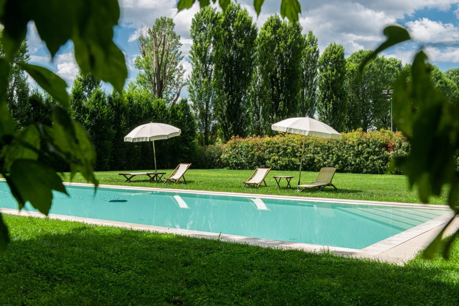 La Barchessa di Villa Pisani - foto 6