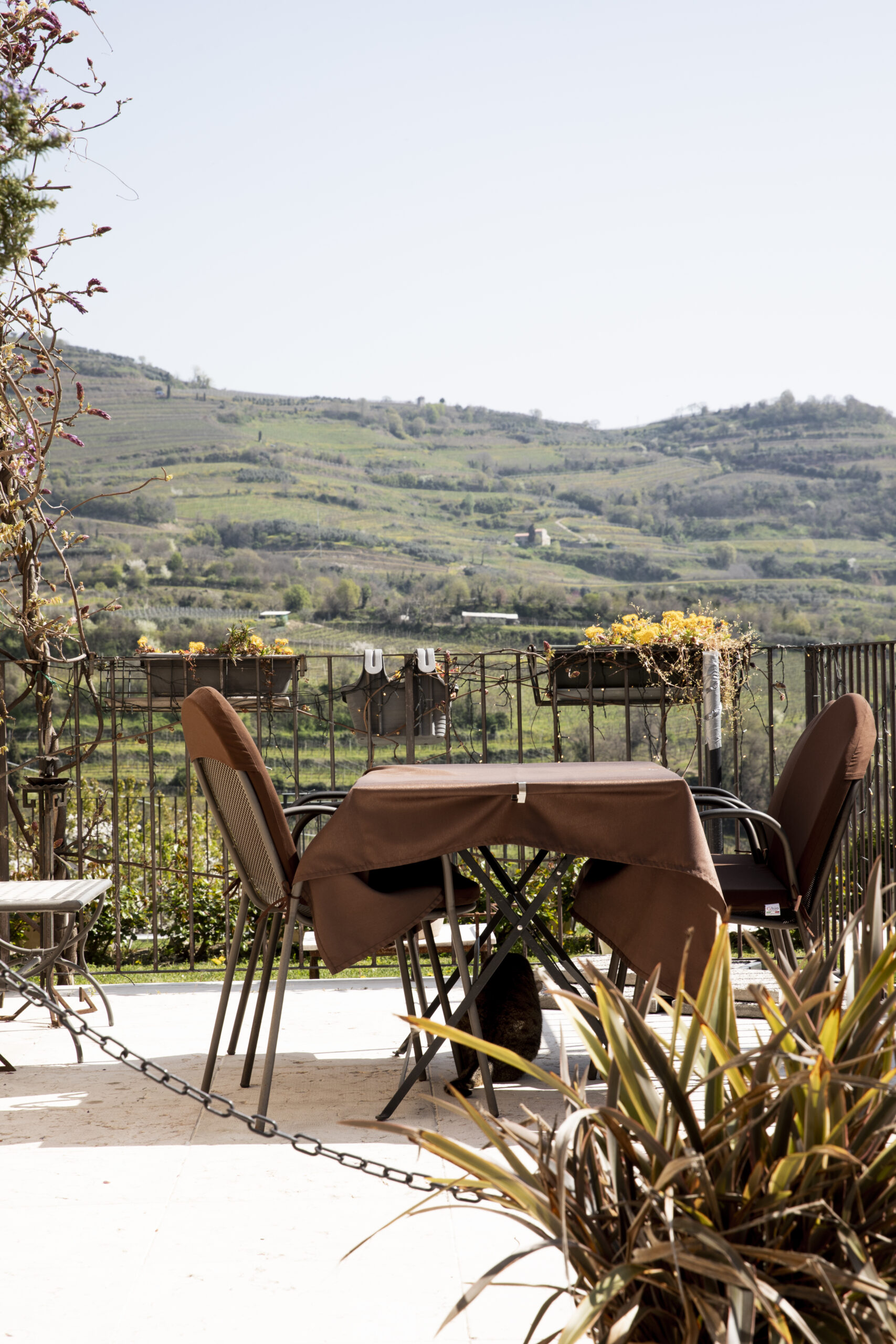 Corte dei Soavi Relais in collina - foto 3