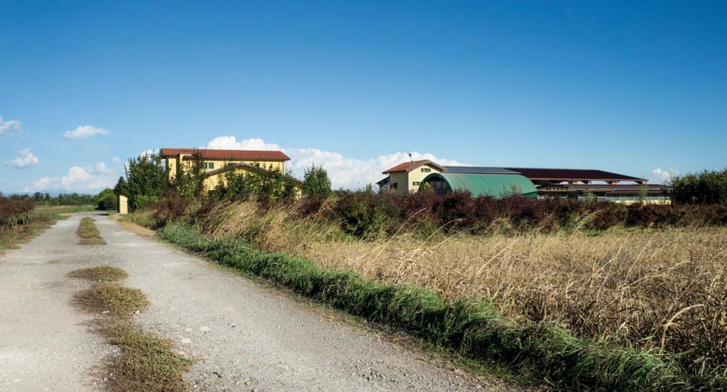 CAMISI QH - foto 5
