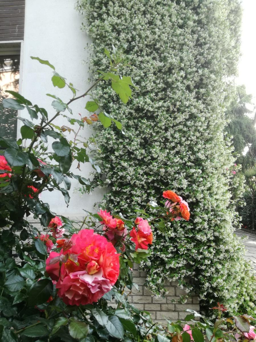 La Maison des Abeilles - foto 1