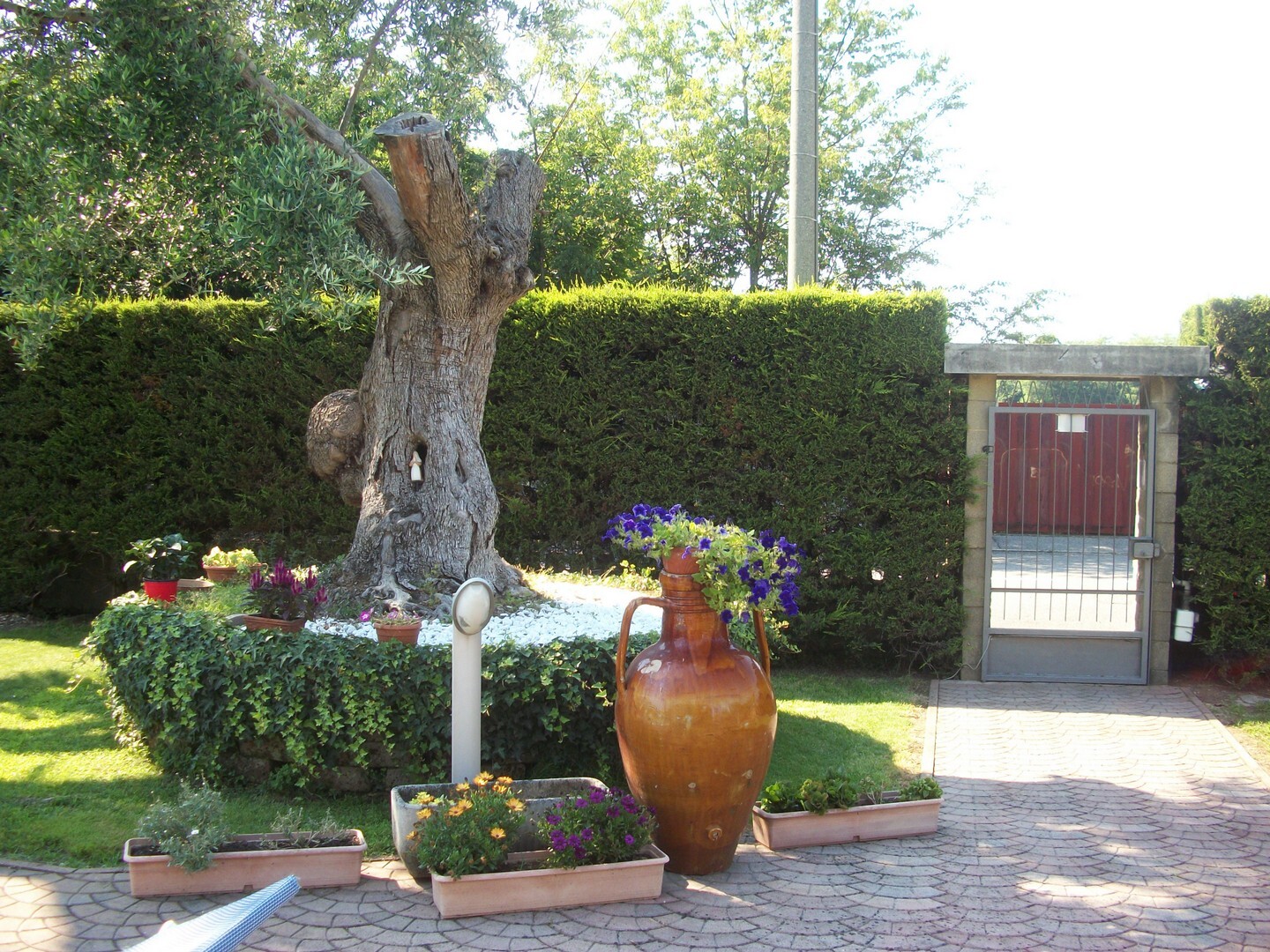 B&B SouthItaly - foto 1