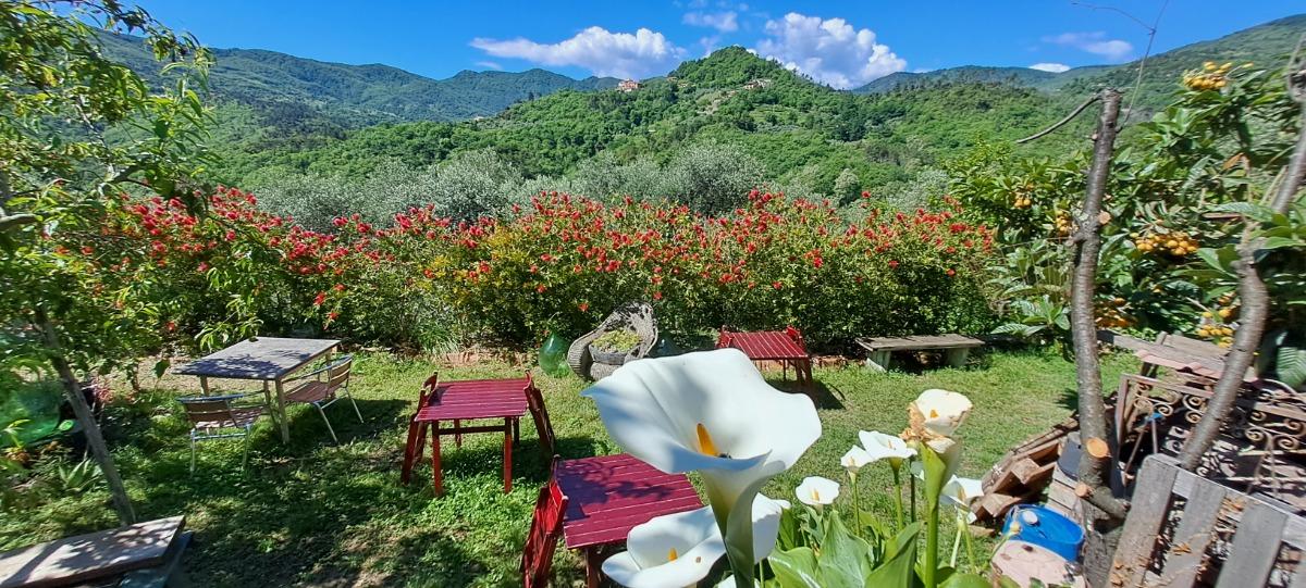 Bed & Breakfast L' antica macina foto 1