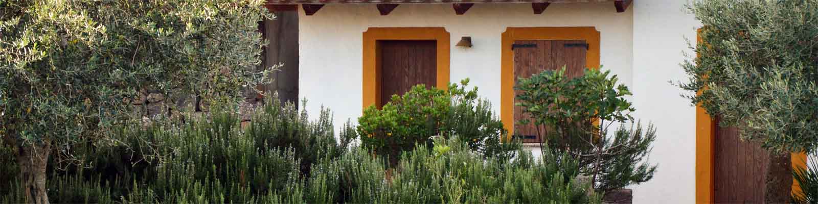 Agriturismo su Nuratolu - foto 3