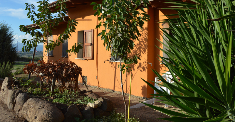Agriturismo su Nuratolu - foto 4