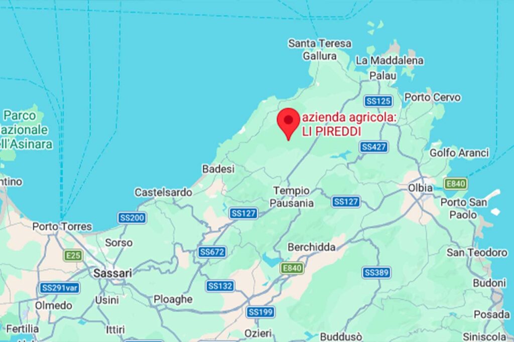 azienda agricola: LI PIREDDI - foto 3