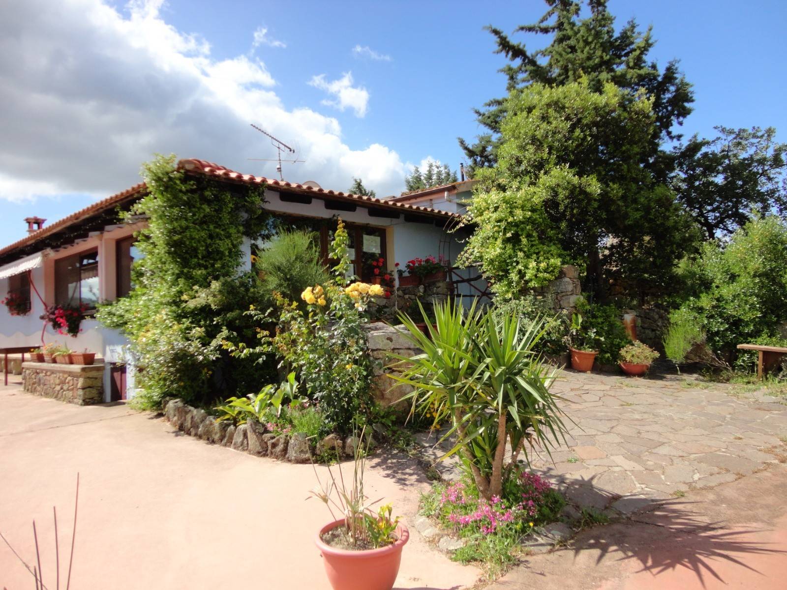 Agriturismo Sa Mandra Noa - foto 4