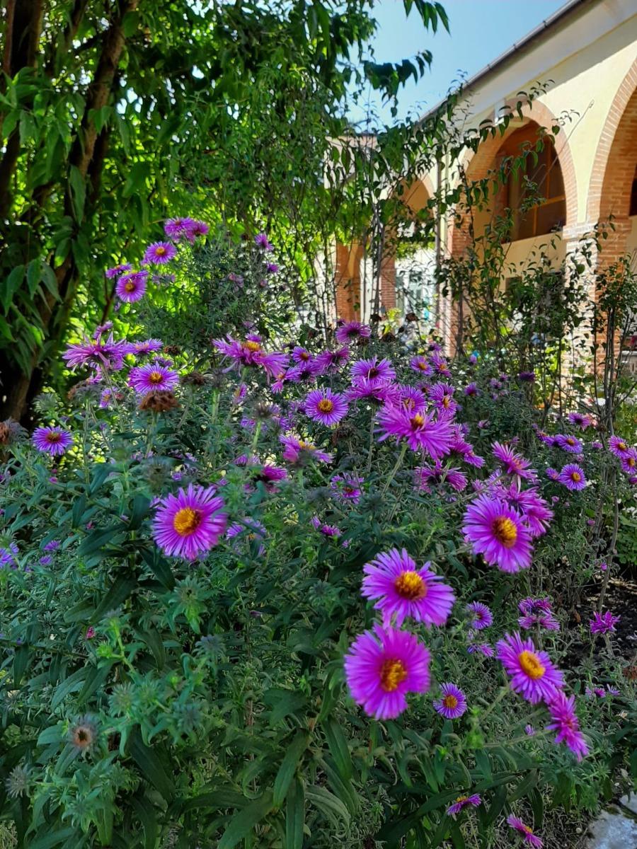 B&B Villa Valeri - foto 3
