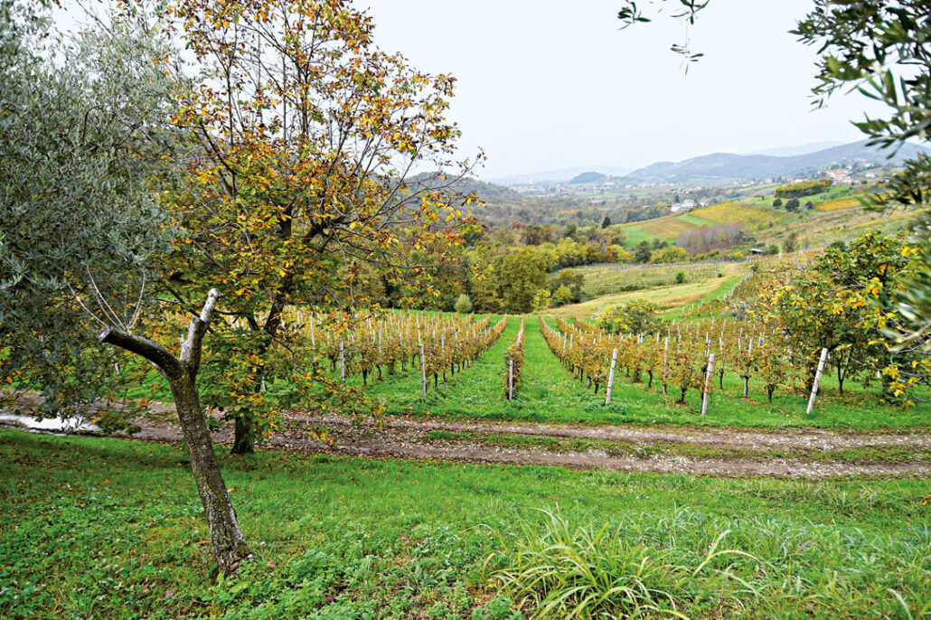 Agriturismo Ippolita Lucchetti - foto 1