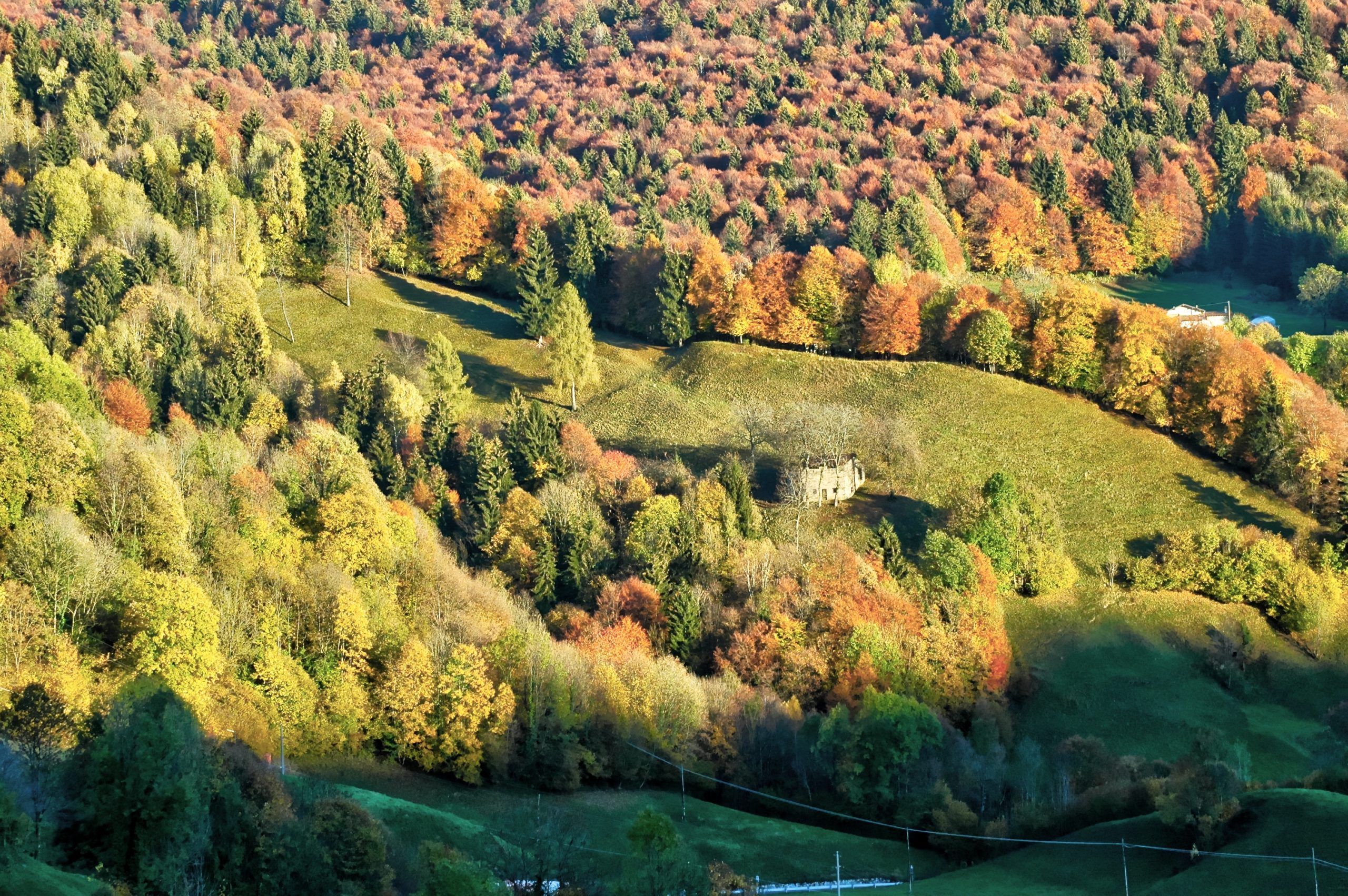 Goccia di Resina - Casa Vacanze Serina - foto 1