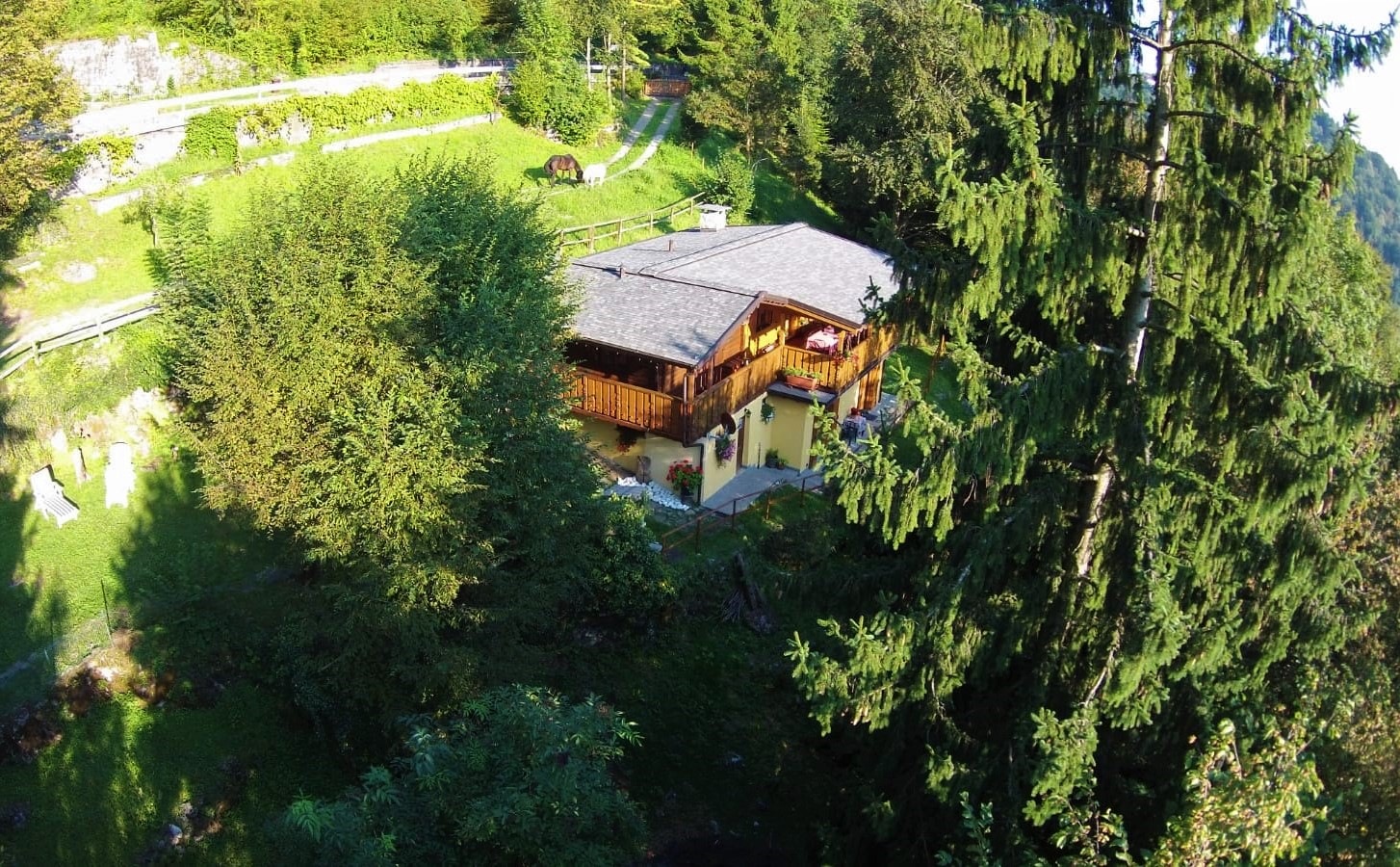 Bed and Breakfast La Volpe - foto 2