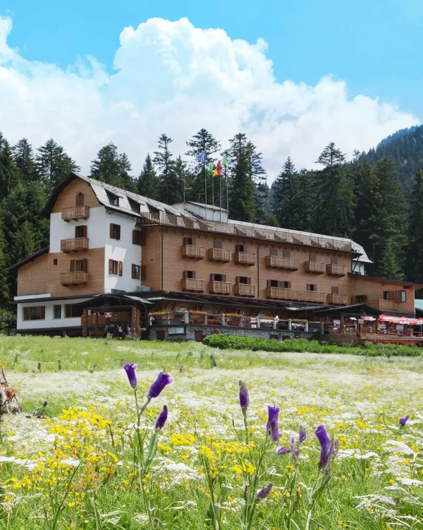 Hotel Spiazzi - foto 5