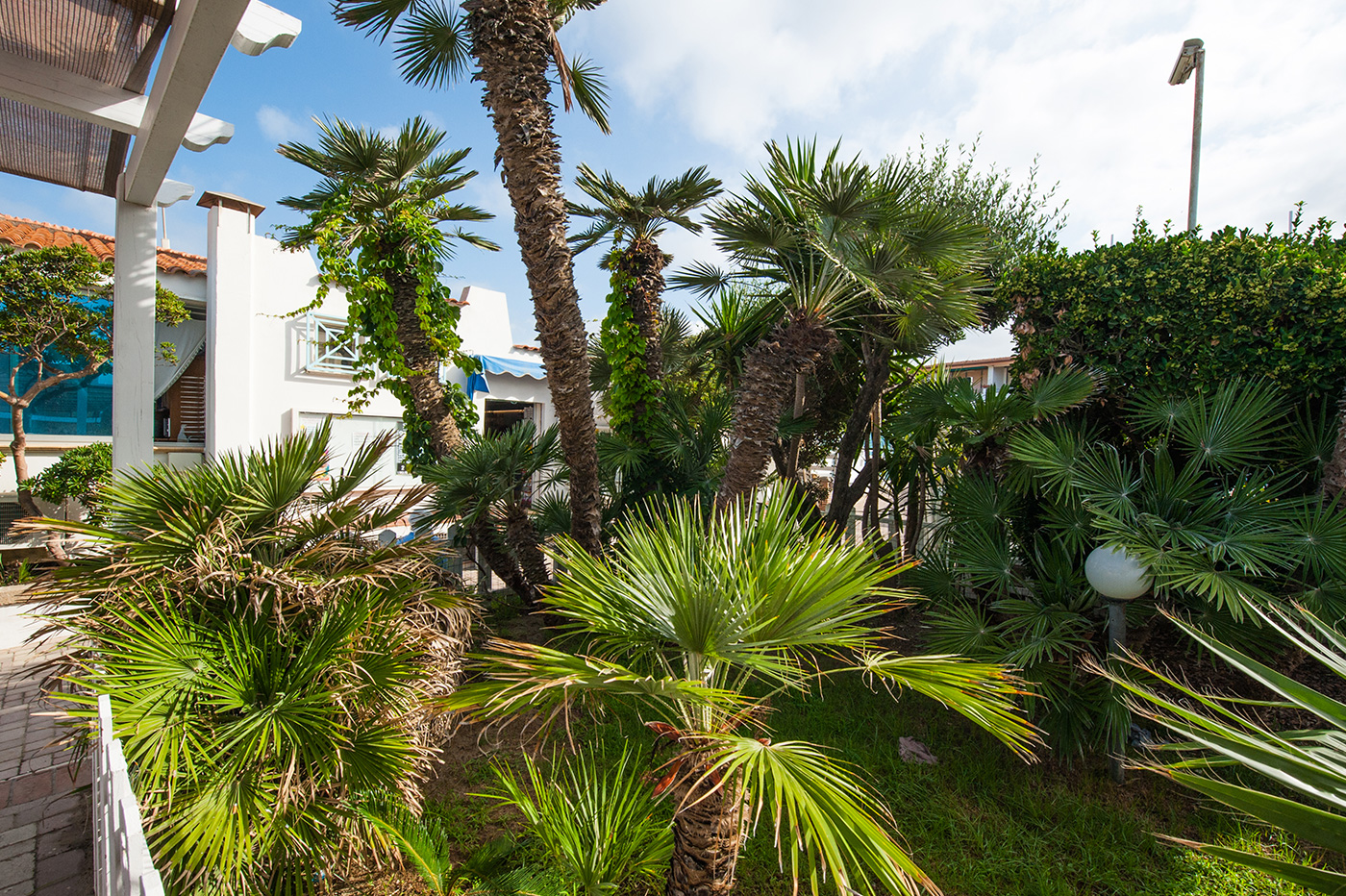 Stabilimento Roma - foto 3