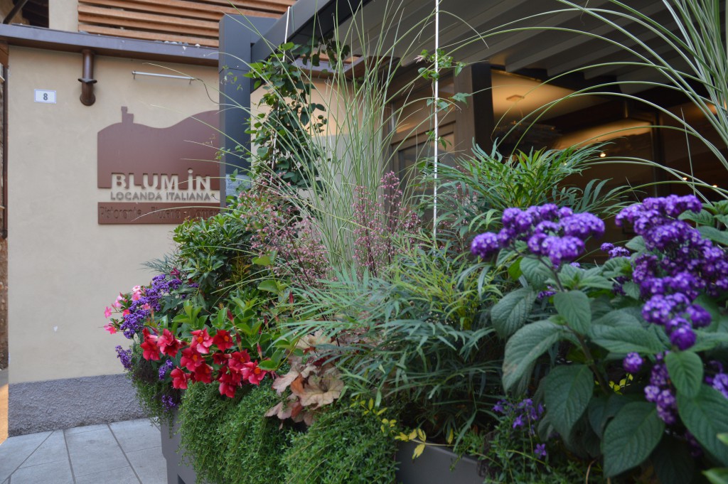 Locanda Blum in - foto 1
