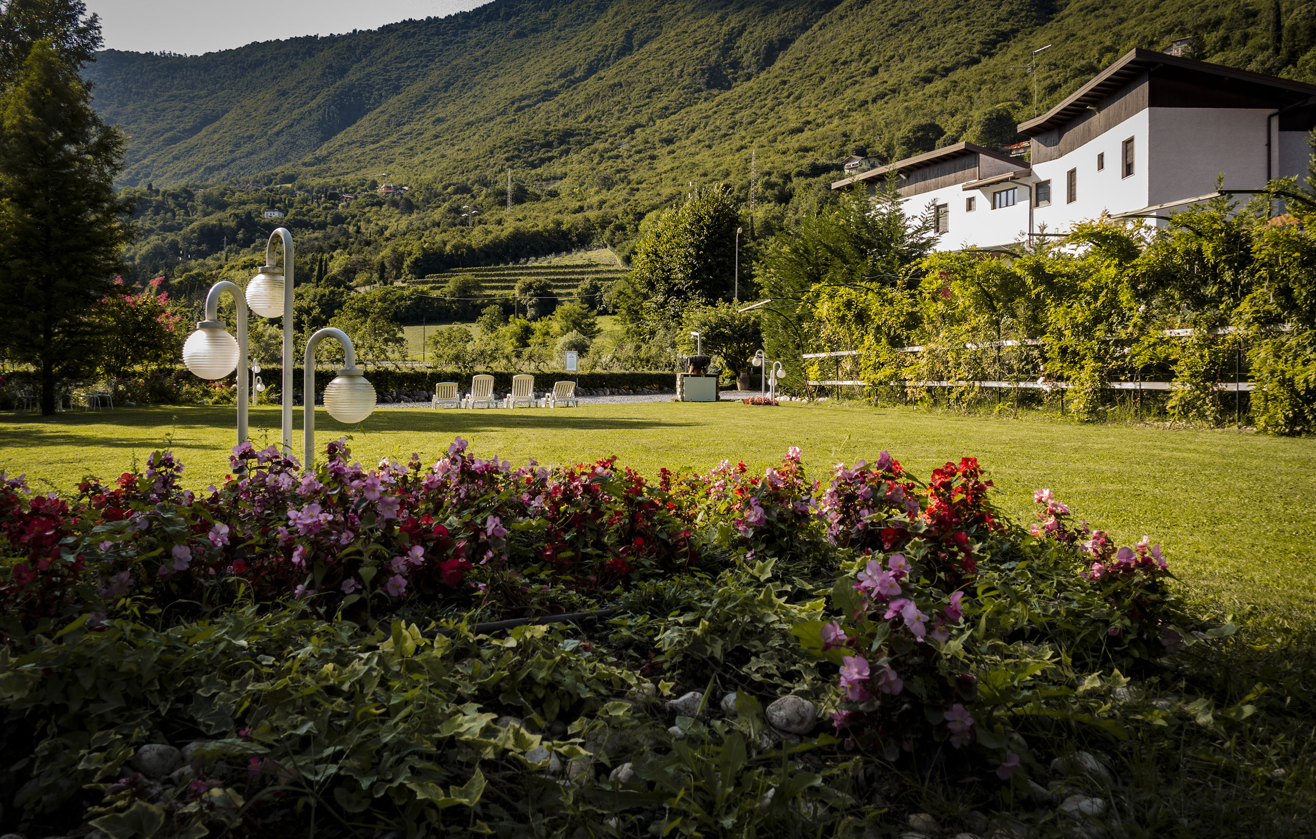 La Romanella - foto 1