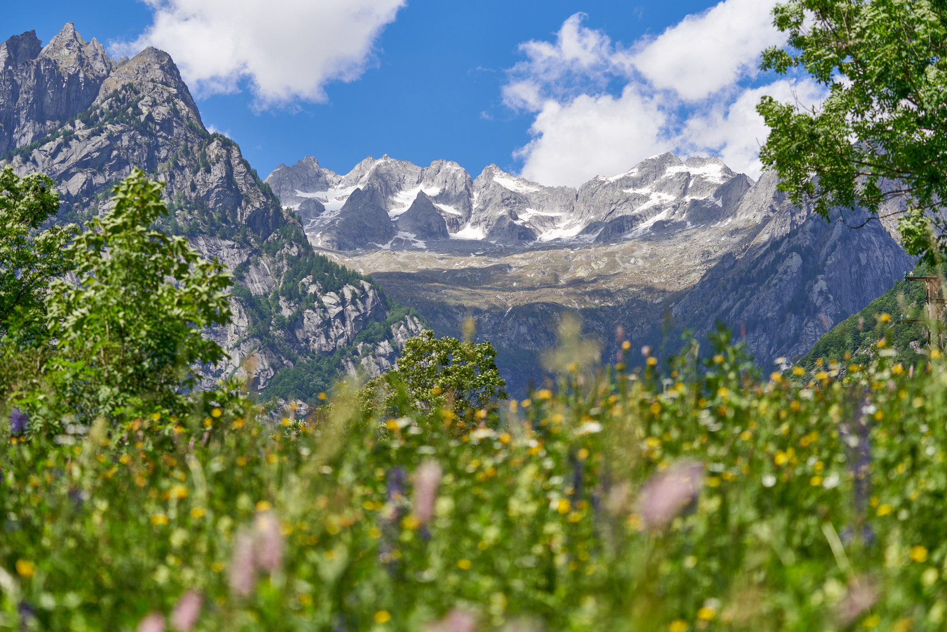 Il Sottobosco - B&B - foto 1
