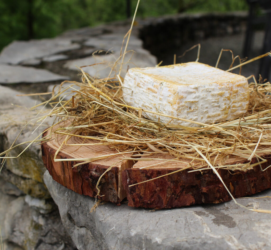 Agriturismo Somme - Azienda Agricola Somme - foto 5