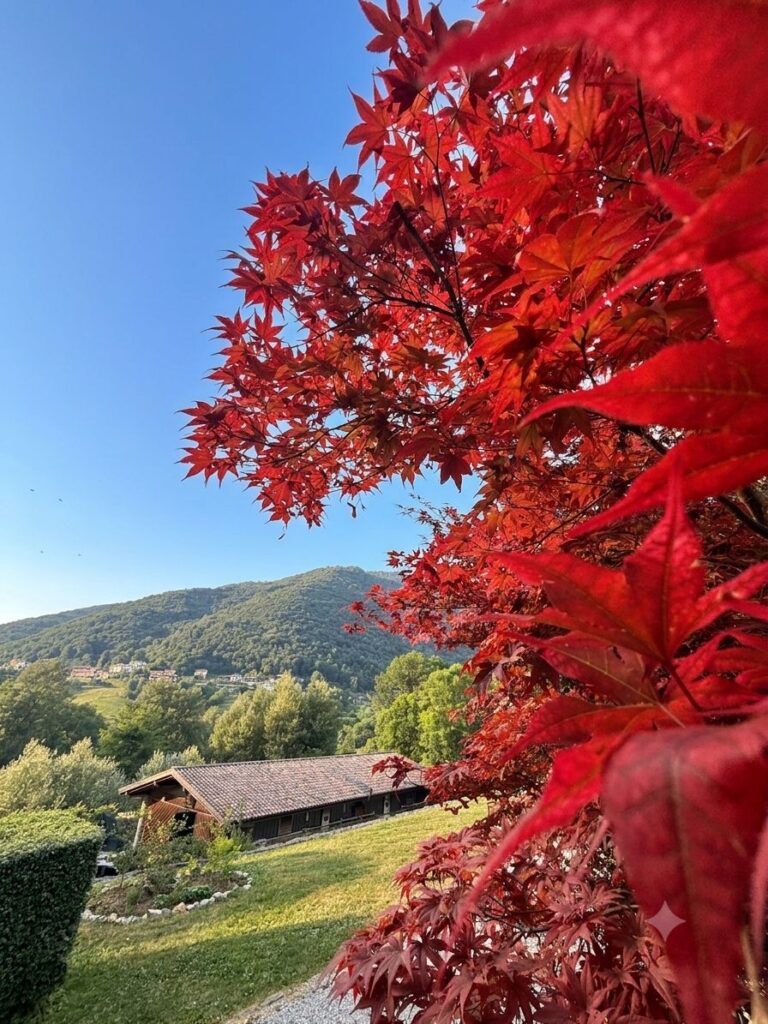 Agriturismo Somme - Azienda Agricola Somme - foto 6